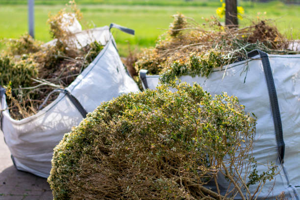 Professional Junk Removal Services in Fiskdale, MA